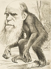 رد نظر داروین 